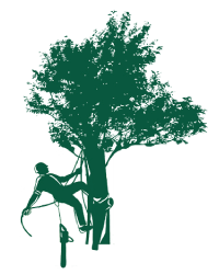 Majestic Tree Care LTD