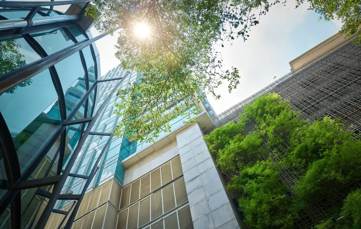 Mature trees beside a modern glass office building