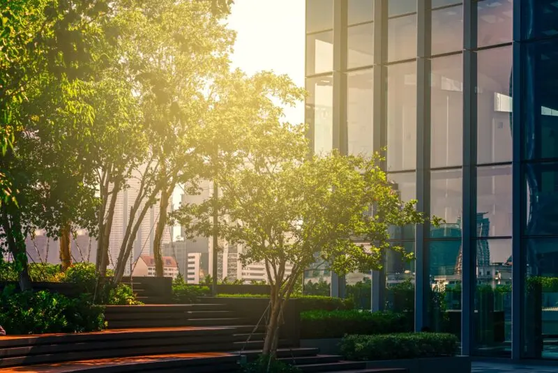 Trees in a landscaped plaza outside a glass office block