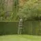 Hedge Trimming