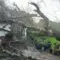 Emergency Tree Services