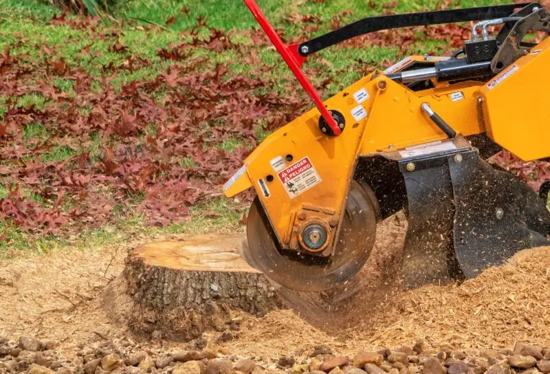 Orange and yellow stump grinder cutting a stump