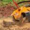 Tree Stump Grinding