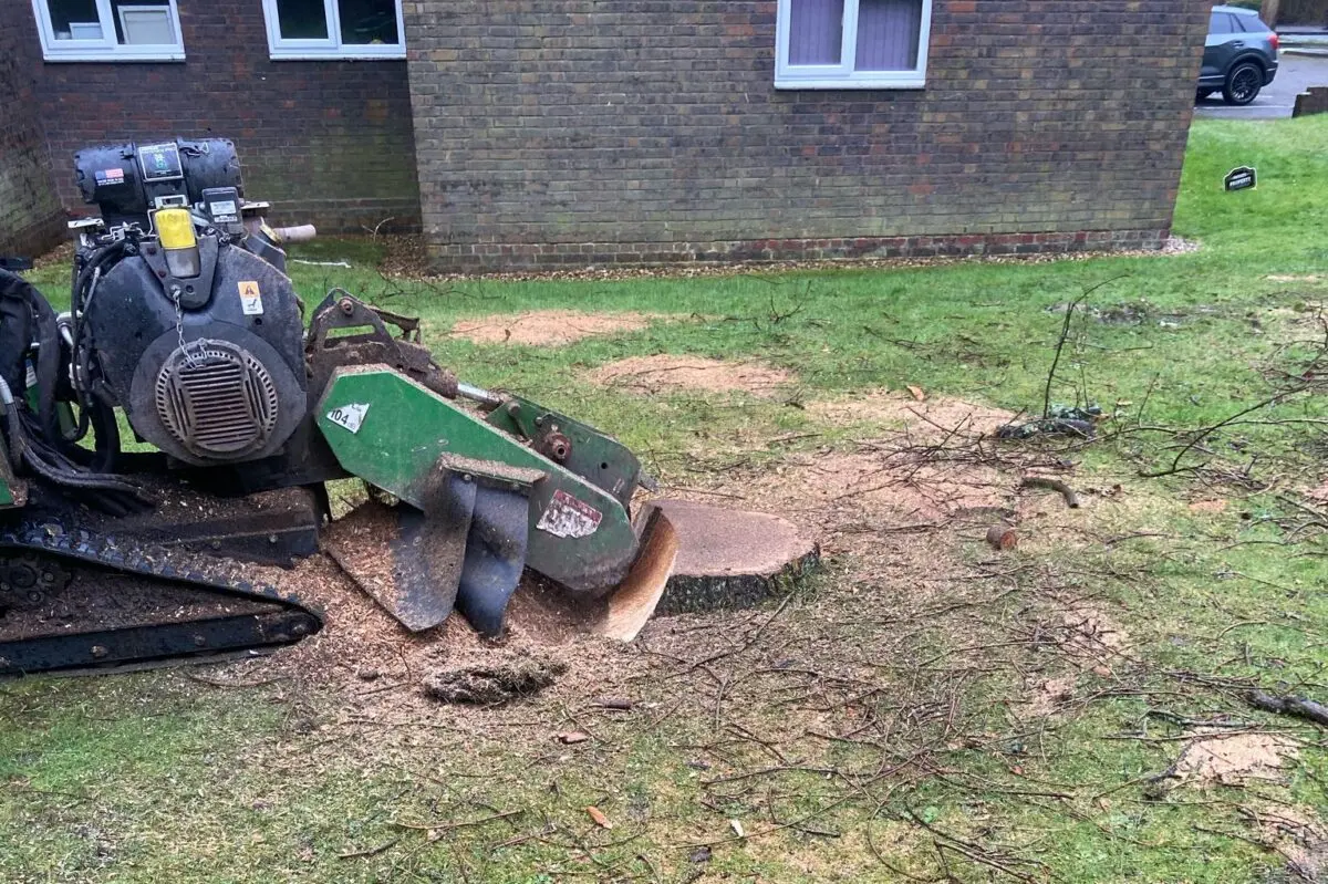 Stump grinder cutting down a tree stump on a grassed area