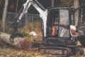 Tree Felling