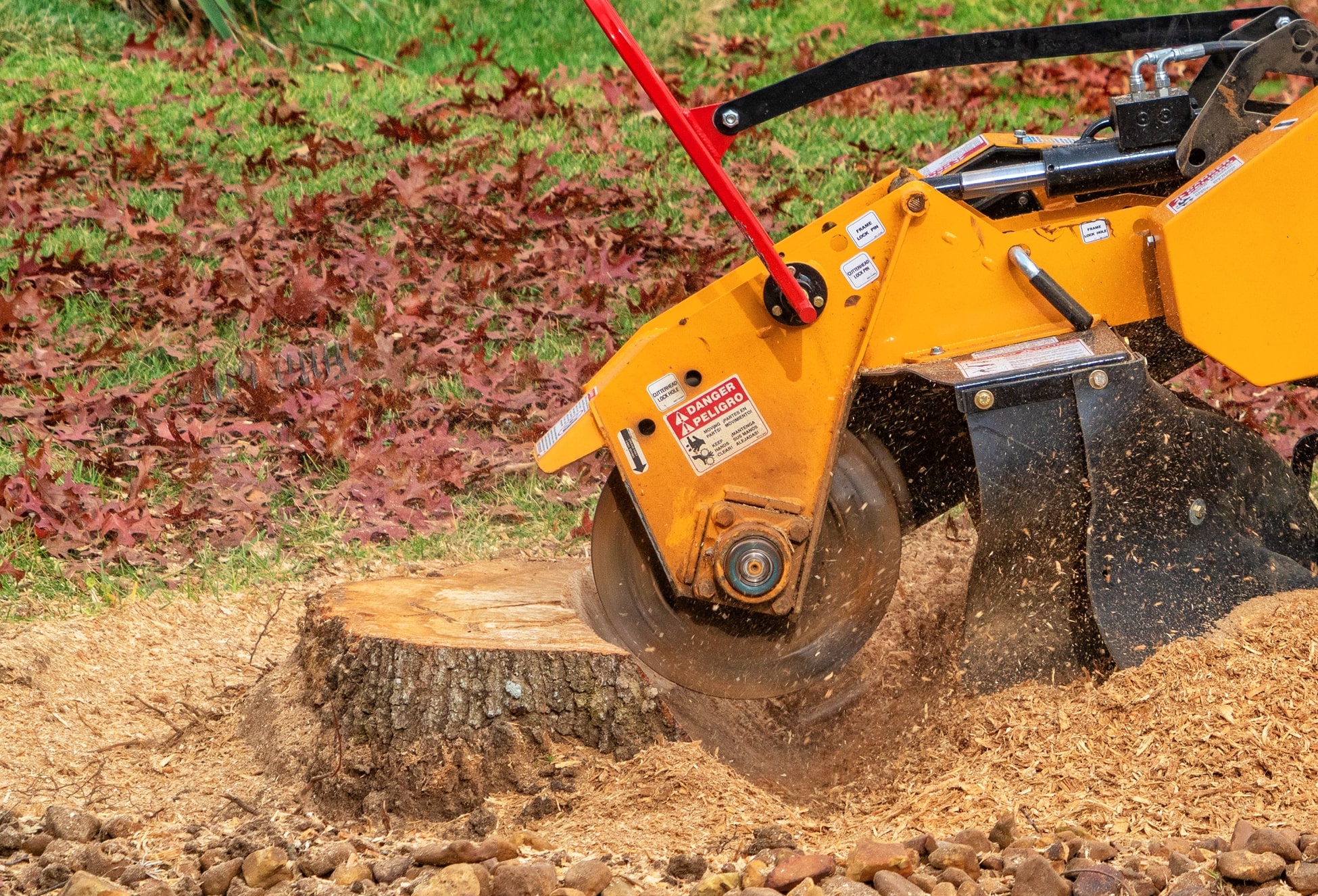 Golders Green Tree Surgeon Golders Green Tree Surgeon