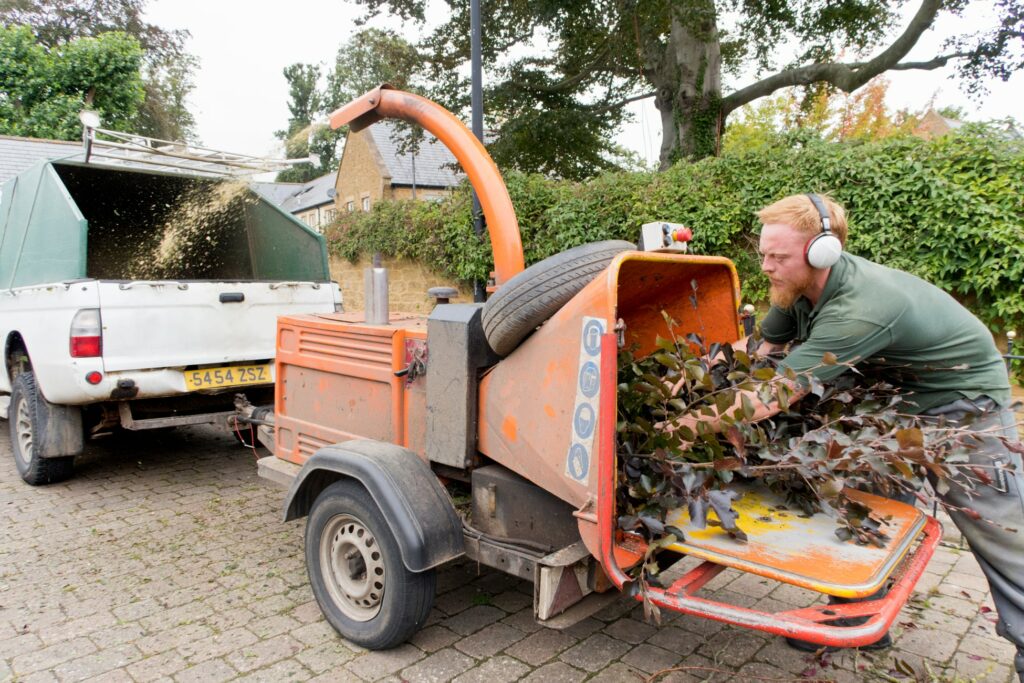New Barnet Tree Surgeon