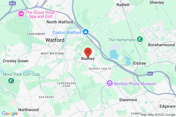 Tree Surgery Bushey Tree Surgery Bushey
