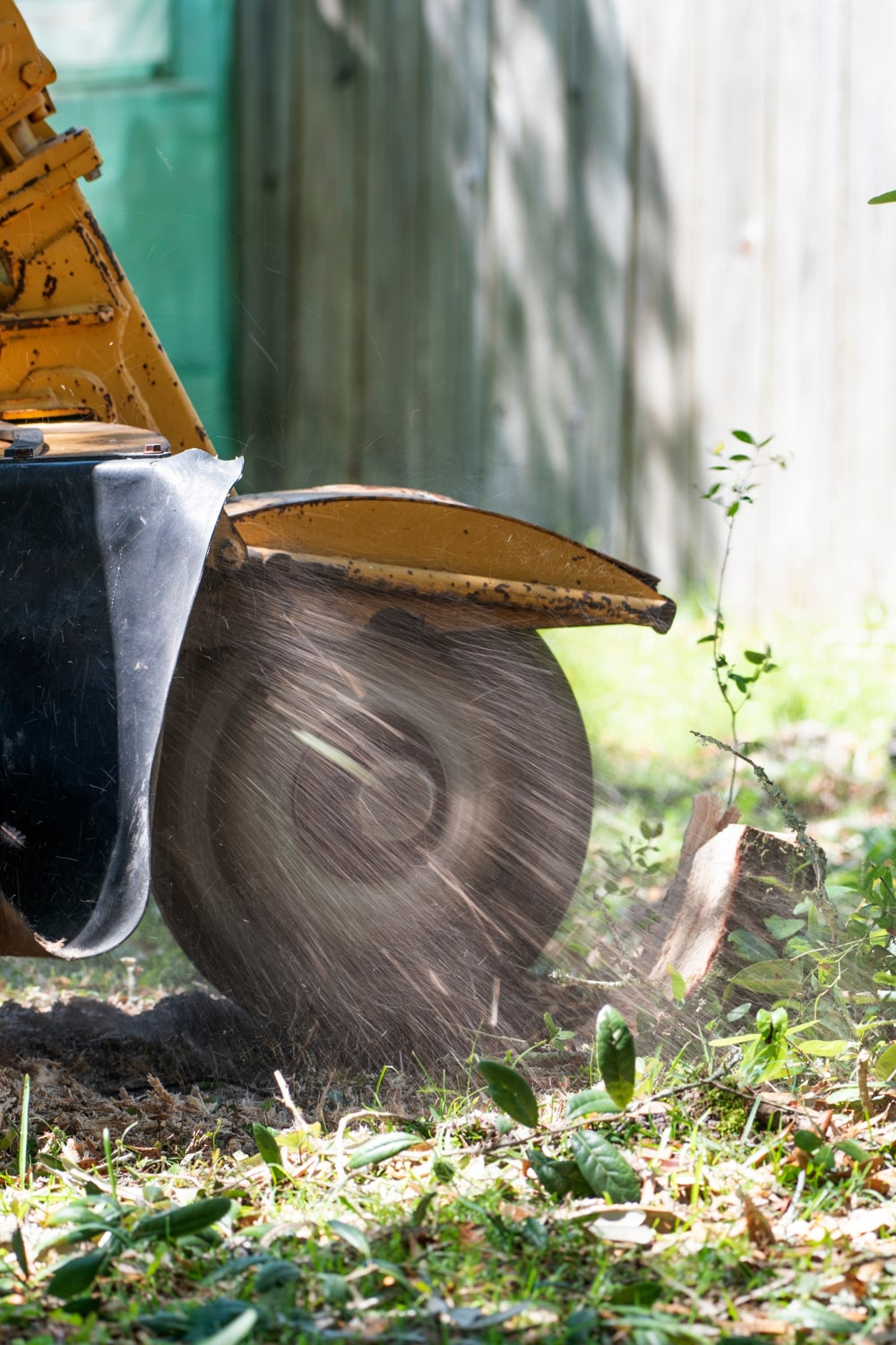Stump Grinding Services Near Me (1) Stump Grinding Services Near Me (1)
