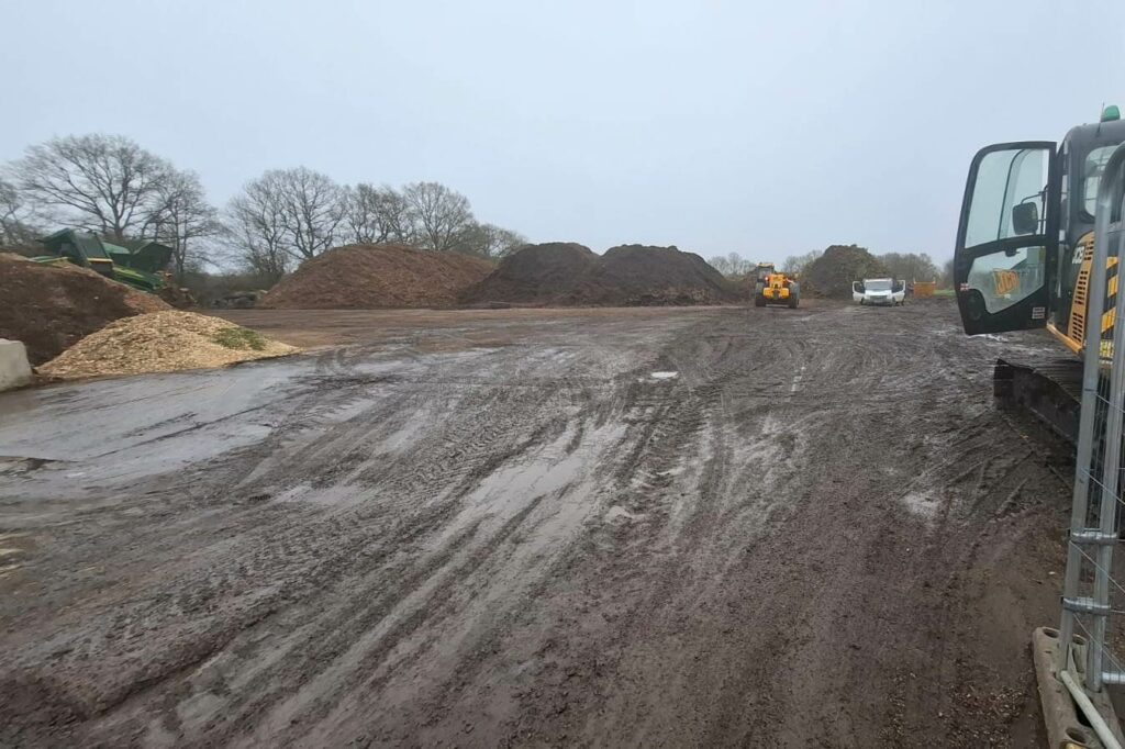 Tree Site Clearance